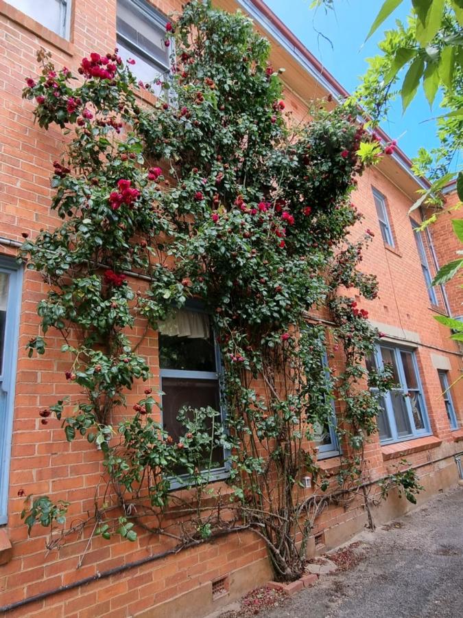 La Cochon Rose Motel Saint Arnaud Екстериор снимка