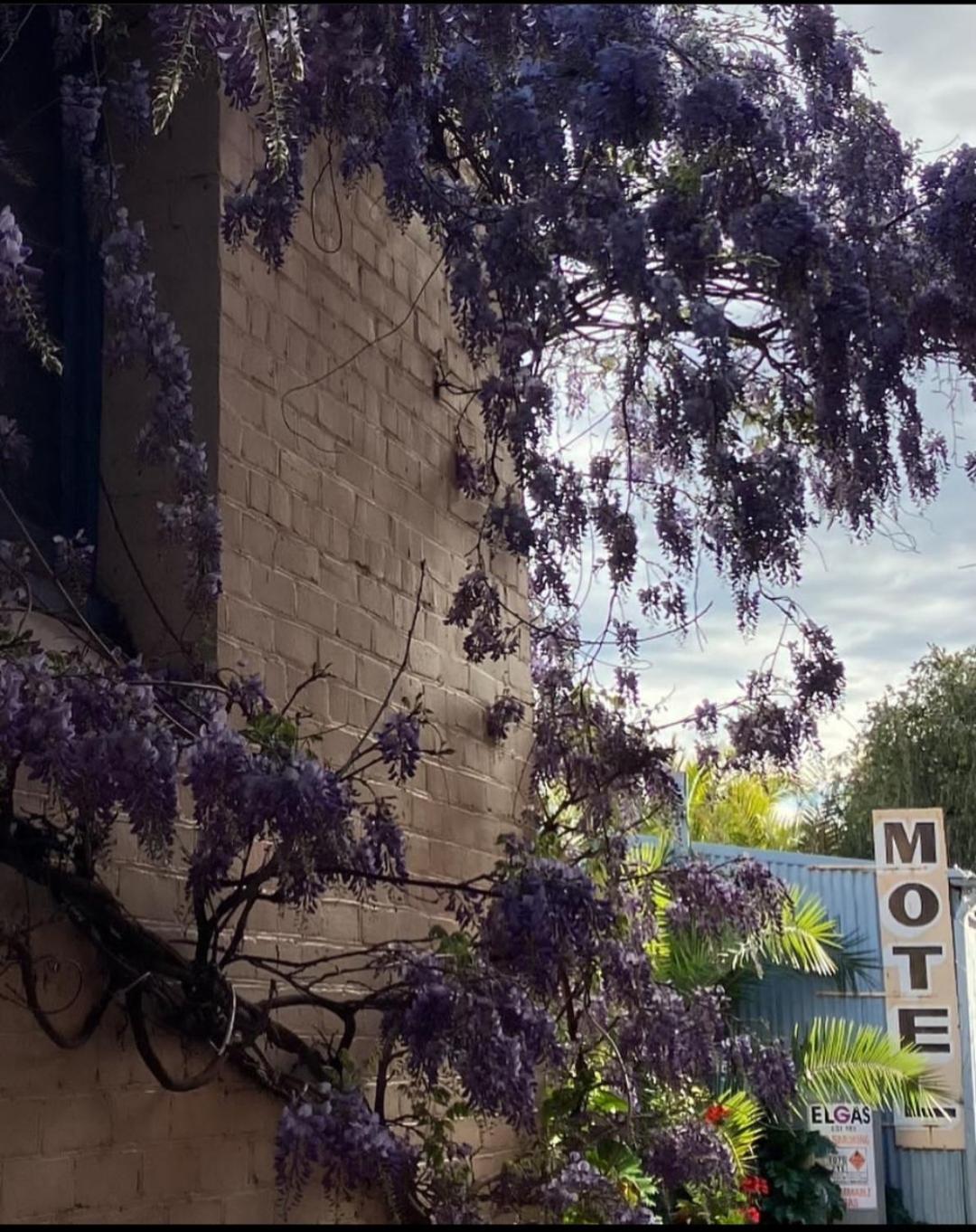 La Cochon Rose Motel Saint Arnaud Екстериор снимка